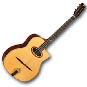 Chitarre Acustiche Usate