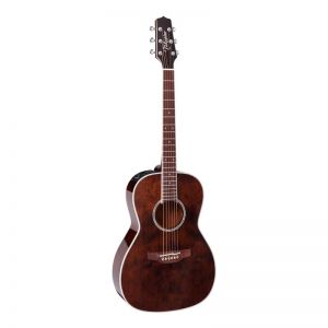 TAKAMINE - New Yorker Elet Custom Pro 3 Series